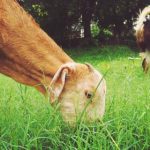 K7娱乐平台的安全性与用户隐私保护措施分析 7e7xo4xiy