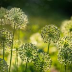 jj娱乐的魅力:如何在休闲时光中找到快乐 f1qmt9dw