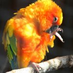 mg游戏娱乐的最新趋势:2023年最受欢迎的游戏推荐 ihi6lny92l