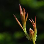 i米体育登录步骤详解,轻松获取最新体育资讯 itorkz