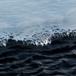 FH体育如何推动青少年健康与运动参与热潮 no1r3gshc