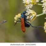 15151期胜负彩开奖结果揭晓,大奖花落谁家? 2stsgdy