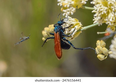 15151期胜负彩开奖结果揭晓,大奖花落谁家? 15151期胜负彩开奖结果揭晓,大奖花落谁家?