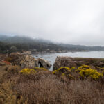 156开奖前后出现的惊人规律大揭秘 4c7g65d