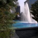 35选七最新开奖号码公布,幸运大奖花落谁家 4vqnni