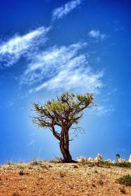 360体育斯诺克直播在线观看高清免费赛事 360体育斯诺克直播在线观看高清免费赛事