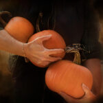 15700乐彩网最新开奖号码查询与历史结果分析 as8hka5hs