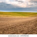 15164期足彩开奖结果揭晓:最新中奖号码与奖金详情公布 b3ake74