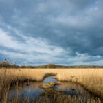 152222开奖结果最新公布,速看中奖详情 dbfx4v