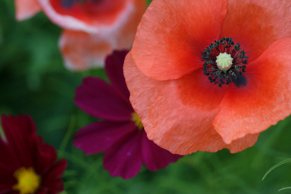 15176期七位数开奖结果查询与最新号码公布 15176期七位数开奖结果查询与最新号码公布