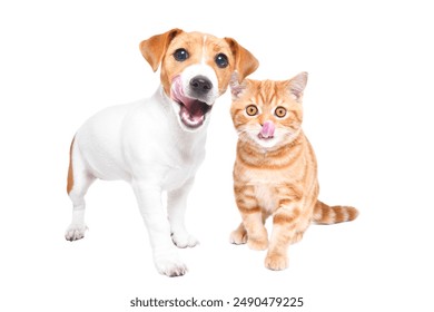 360体育直播吧在线观看高清赛事直播 360体育直播吧在线观看高清赛事直播