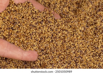 360今日直播精彩看点:全方位直击热门事件现场 360今日直播精彩看点:全方位直击热门事件现场