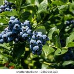 152期双色球开奖结果揭晓:头奖花落谁家引关注 vj13e0ltgq