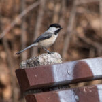 15116期大乐透开奖结果揭晓,大奖花落谁家引关注 vylazyf2