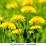 151期3D历史开奖号码查询与完整走势图分析 wz5z739